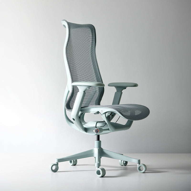 Linkyou Rosefinch Ergonomic Office Chair With Flexible Arms