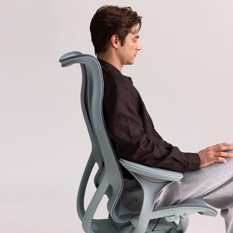 Linkyou Rosefinch Ergonomic Office Chair with Leaf Arms