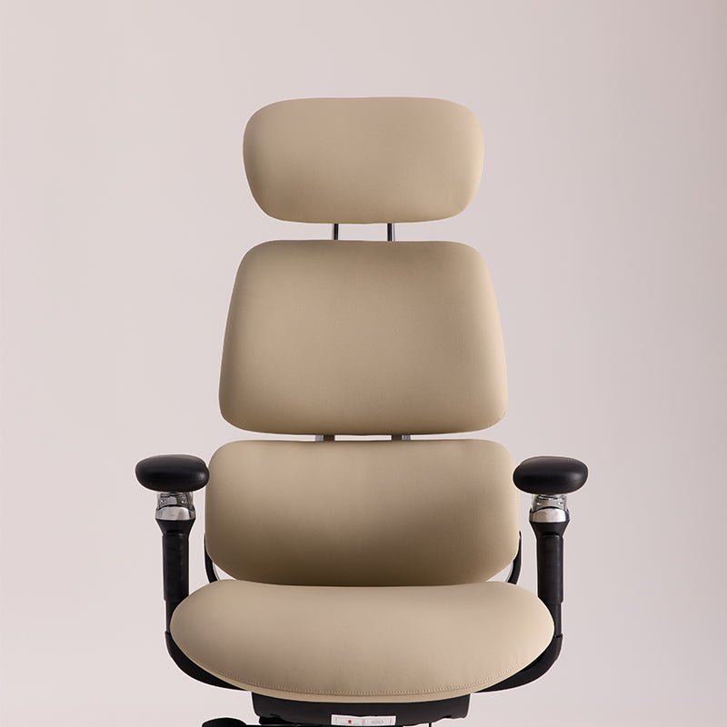 Linkyou Ethereal Executive Ergonomic Chair with Leather - Linkyou Ergochair