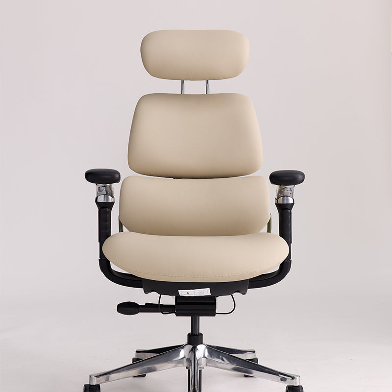 Linkyou Ethereal Executive Ergonomic Chair with Leather