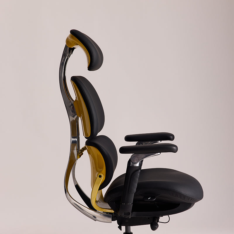Linkyou Ethereal Executive Ergonomic Chair with Leather