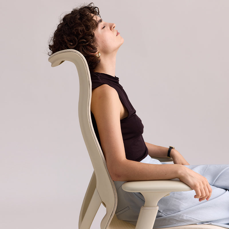 Linkyou Rosefinch Ergonomic Office Chair With Flexible Arms