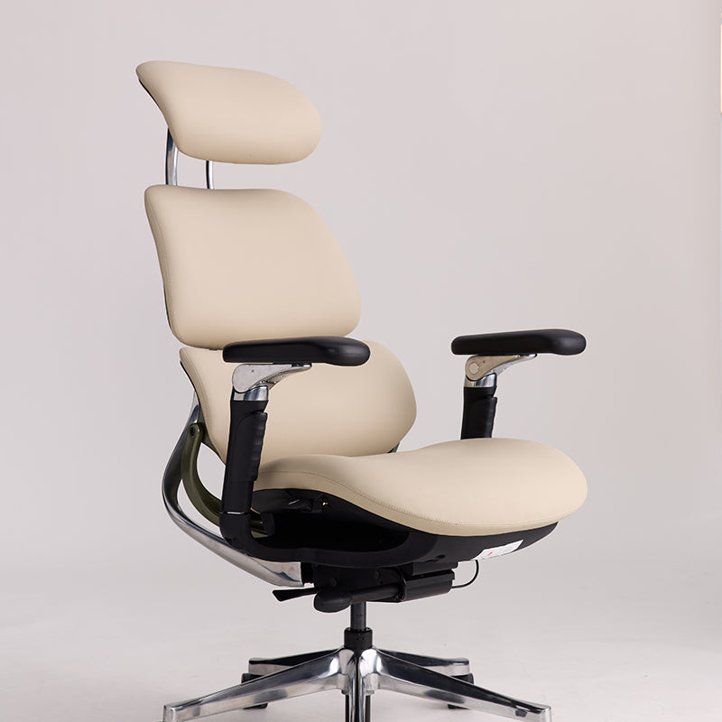 Linkyou Ethereal Executive Ergonomic Chair with Leather