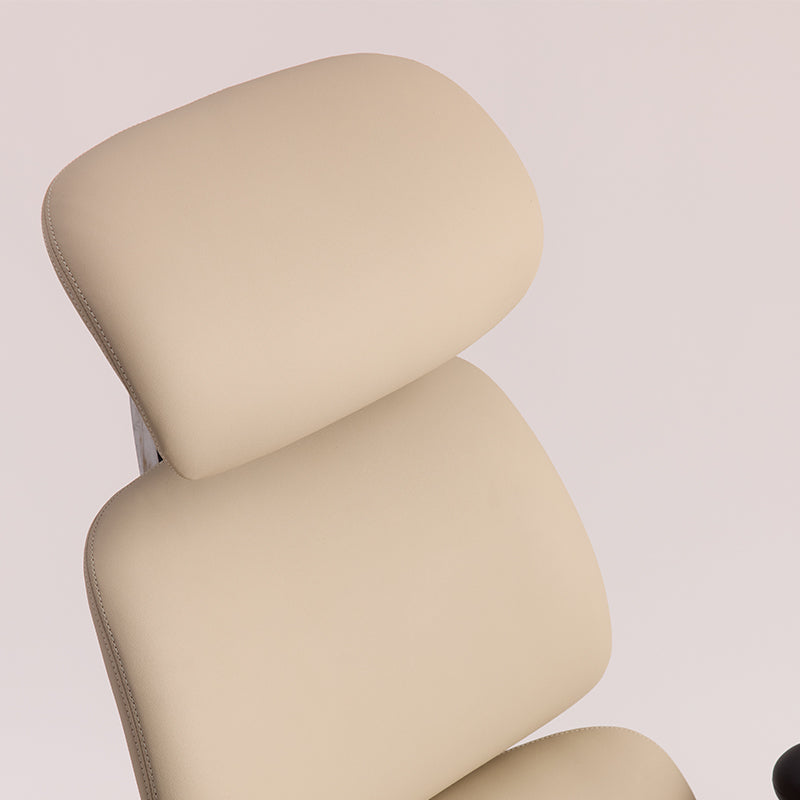 Linkyou Ethereal Executive Ergonomic Chair with Leather