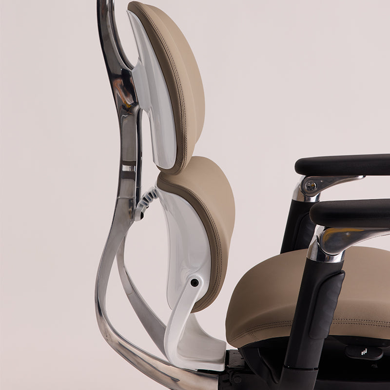 Linkyou Ethereal Executive Ergonomic Chair with Leather