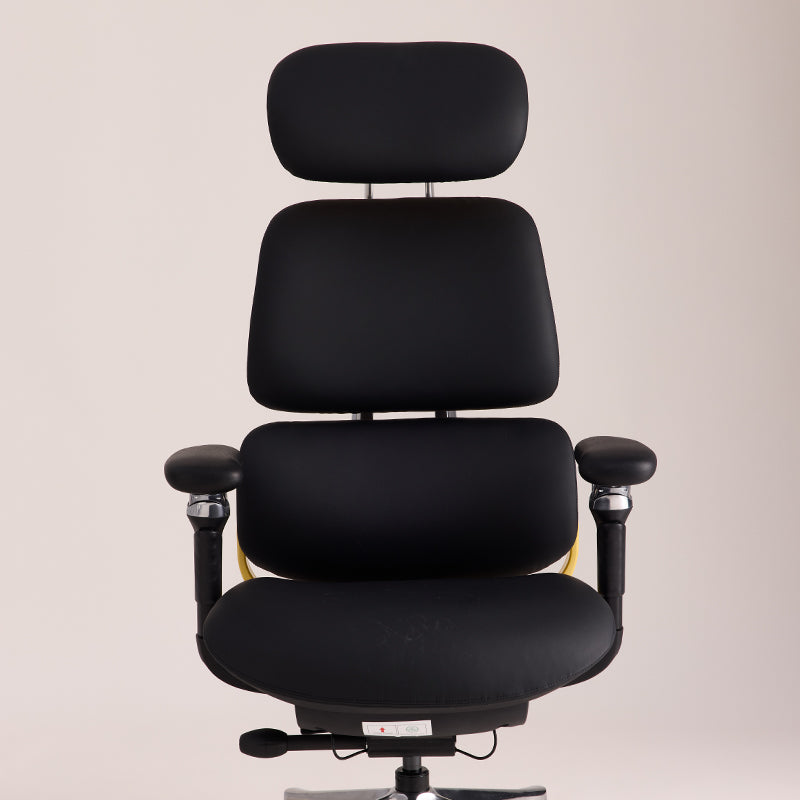 Linkyou Ethereal Executive Ergonomic Chair with Leather
