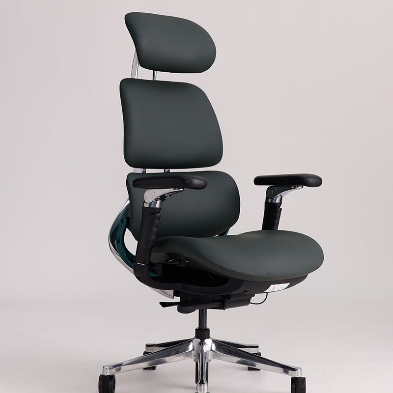Linkyou Ethereal Executive Ergonomic Chair with Leather