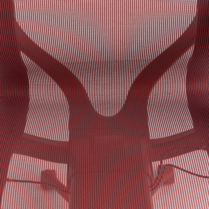 Linkyou Rosefinch Ergonomic Office Chair With Flexible Arms