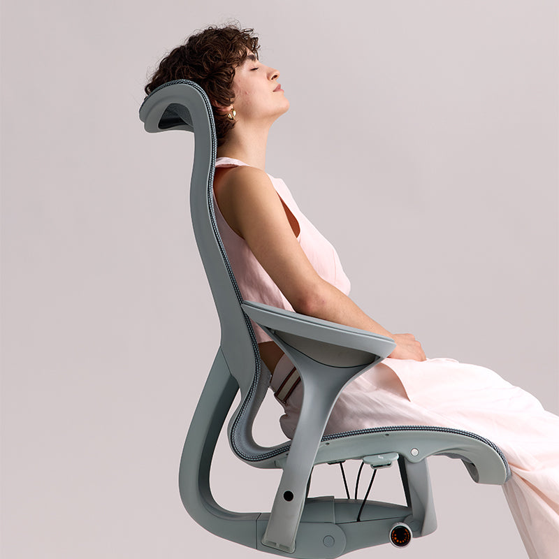 Linkyou Rosefinch Ergonomic Office Chair with Leaf Arms