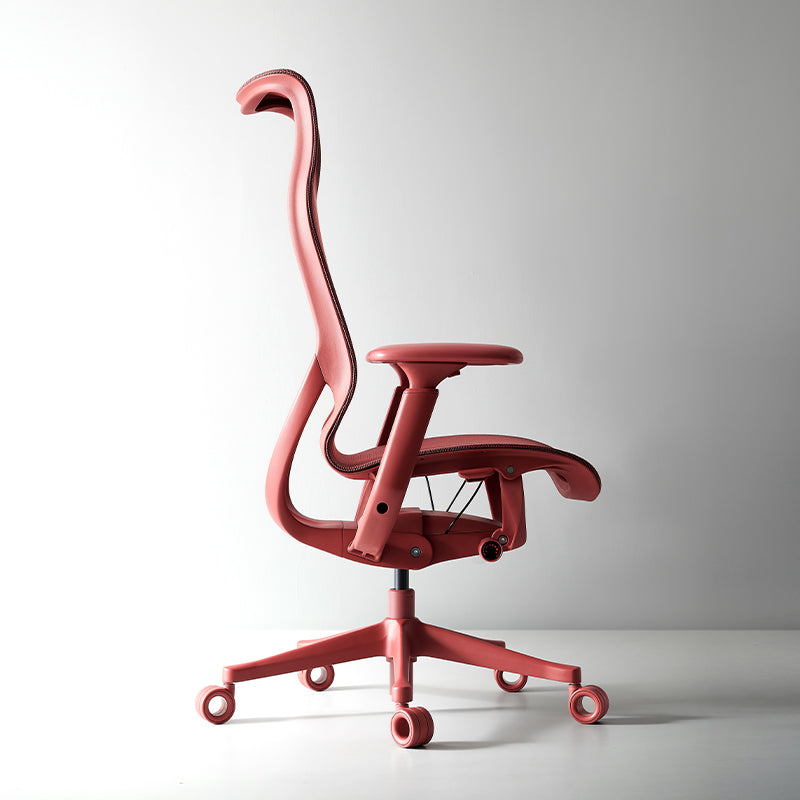 Linkyou Rosefinch Ergonomic Office Chair With Flexible Arms