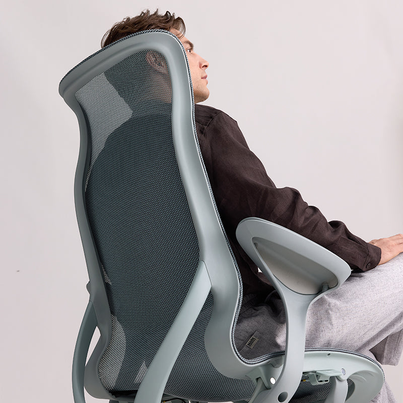 Linkyou Rosefinch Ergonomic Office Chair with Leaf Arms